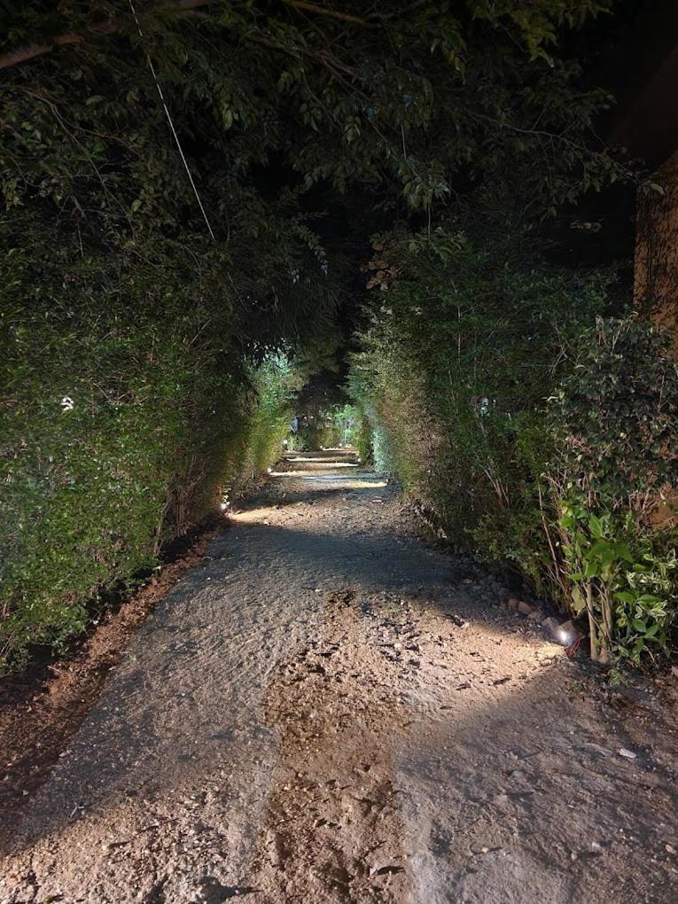 Pench Tiger Trails Resort Khawāsa エクステリア 写真