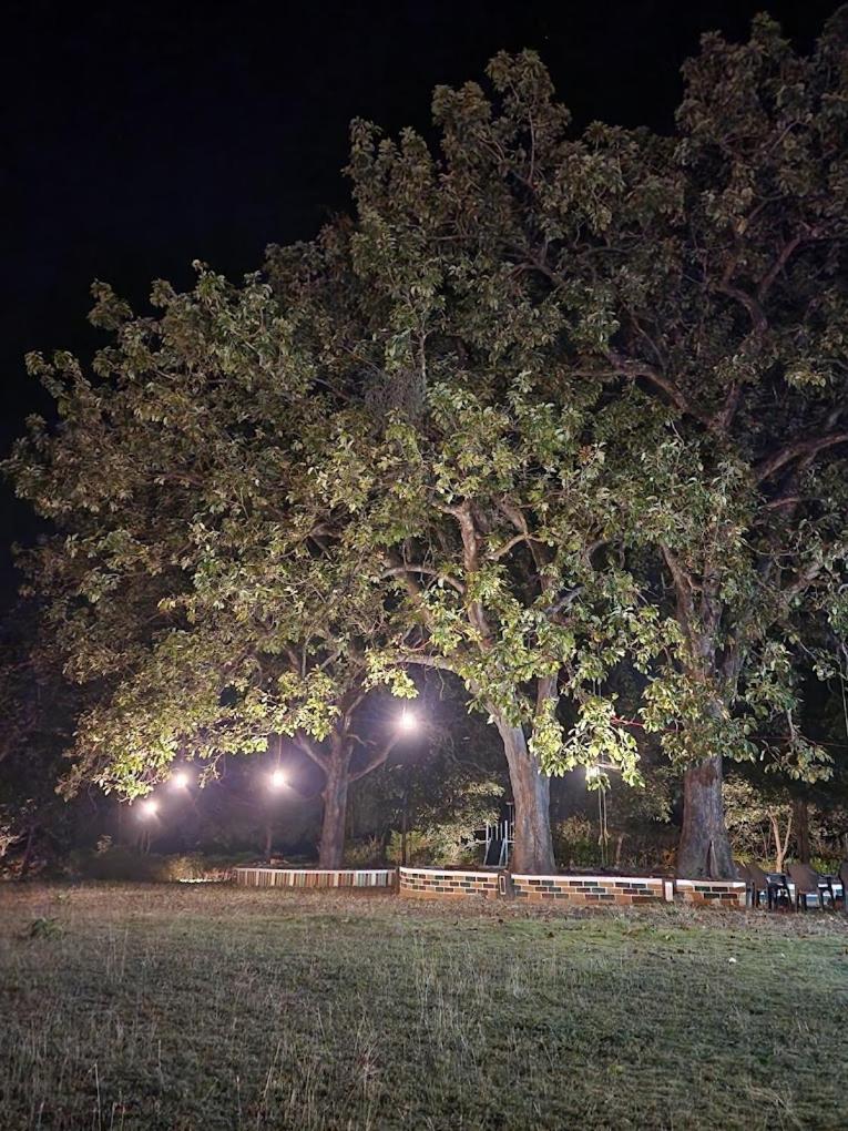 Pench Tiger Trails Resort Khawāsa エクステリア 写真